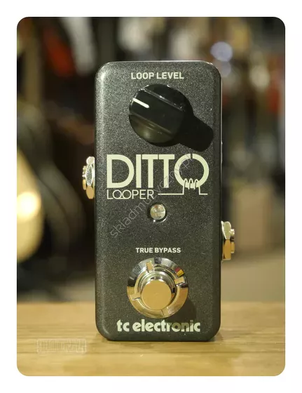 TC Electronic Ditto ][ Looper gitarowy